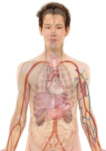 看護師の転職事例から学ぶ成功の秘訣とは？