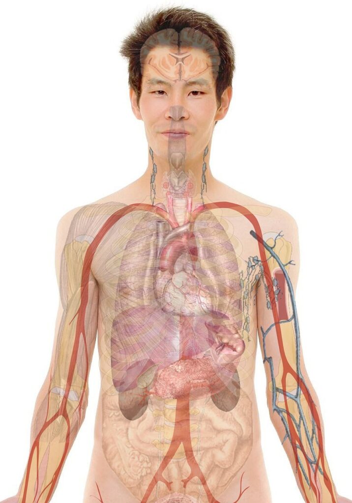 看護師の転職事例から学ぶ成功の秘訣とは？