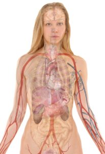 看護師の転職に役立つ情報サイトはどこを選べばいい？